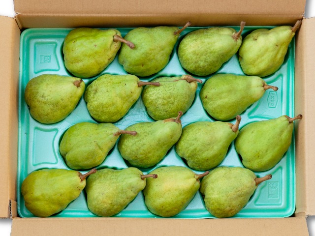 ル・レクチェ　ルレクチェ　約5kg　洋ナシ　西洋なし