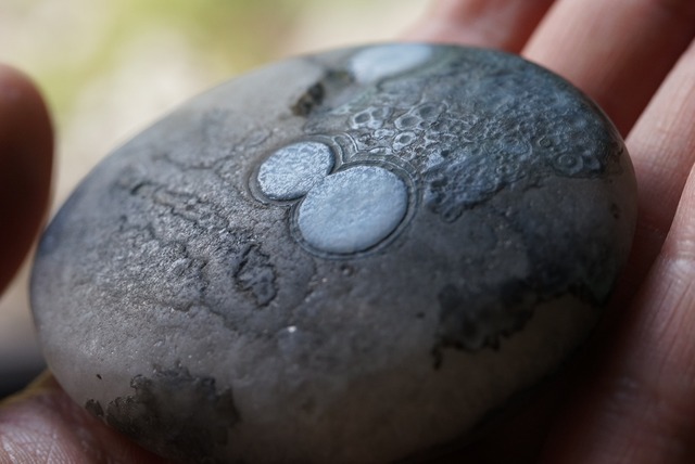 ゴビアゲート Gobi Desert Eye Agate 524