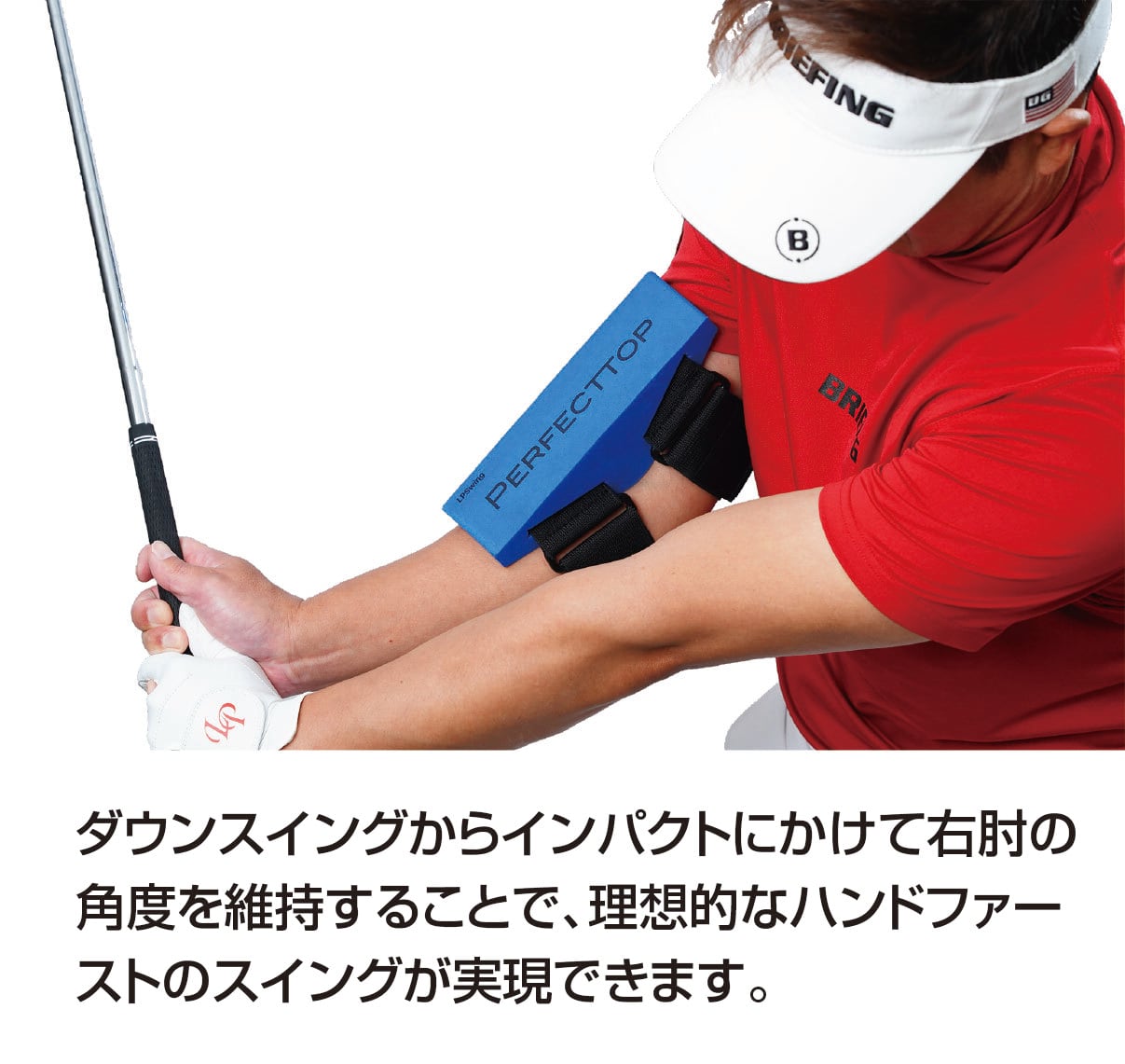 PERFECT TOP | LPSwing