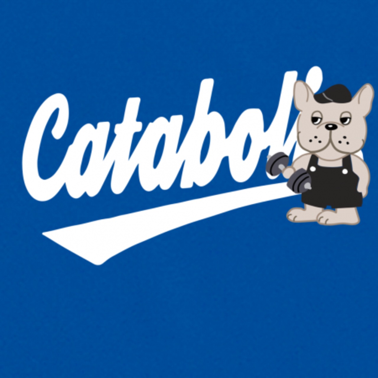 ドライTシャツ #4 "カタボル"【コバルトブルー】《XL-4XL)