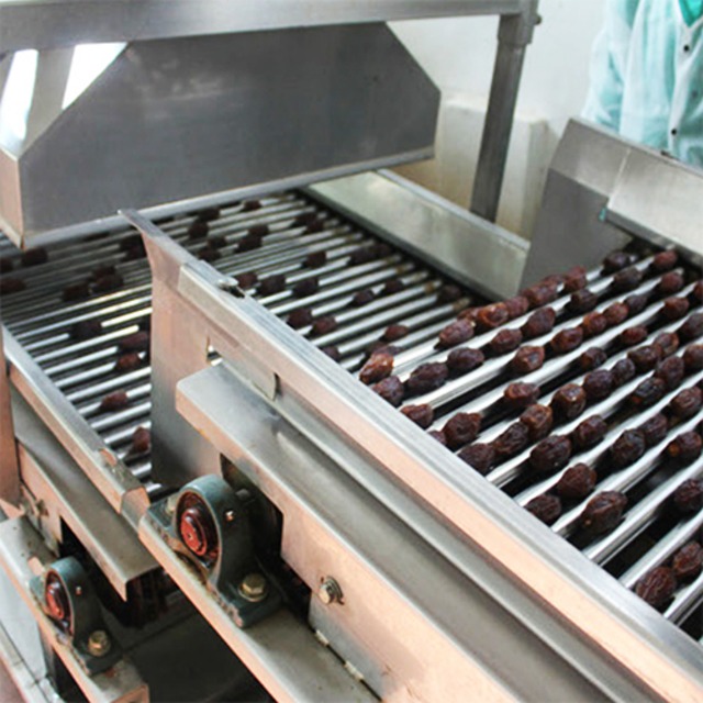 パレスチナ産マジョール・デーツ（種あり）【民際協力のパルシックから】2025年度産