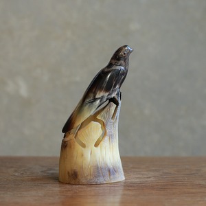 水牛の角から生まれた、美しい鳥 2