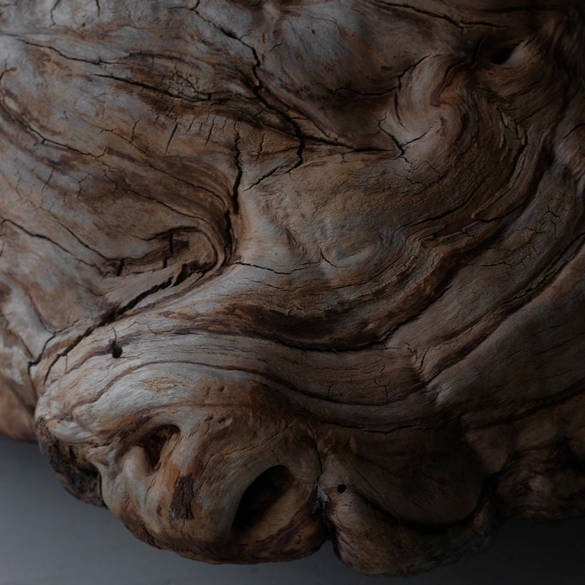 Tree burl