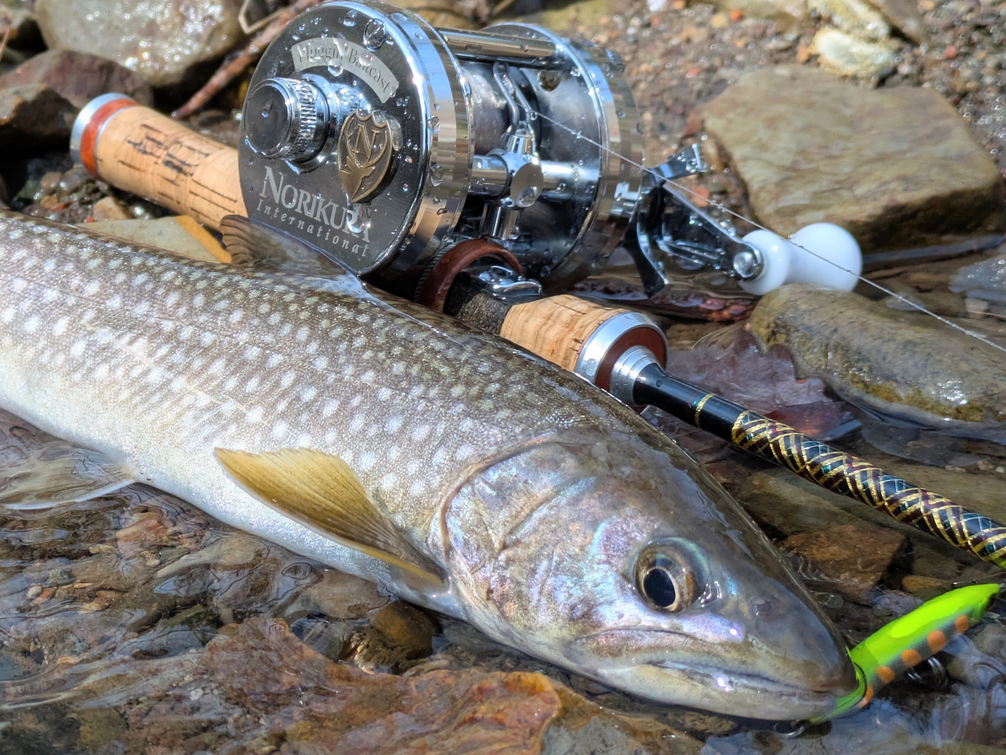 NORIKURA international ambassadeur 2501C | GO-SLOW.fishing