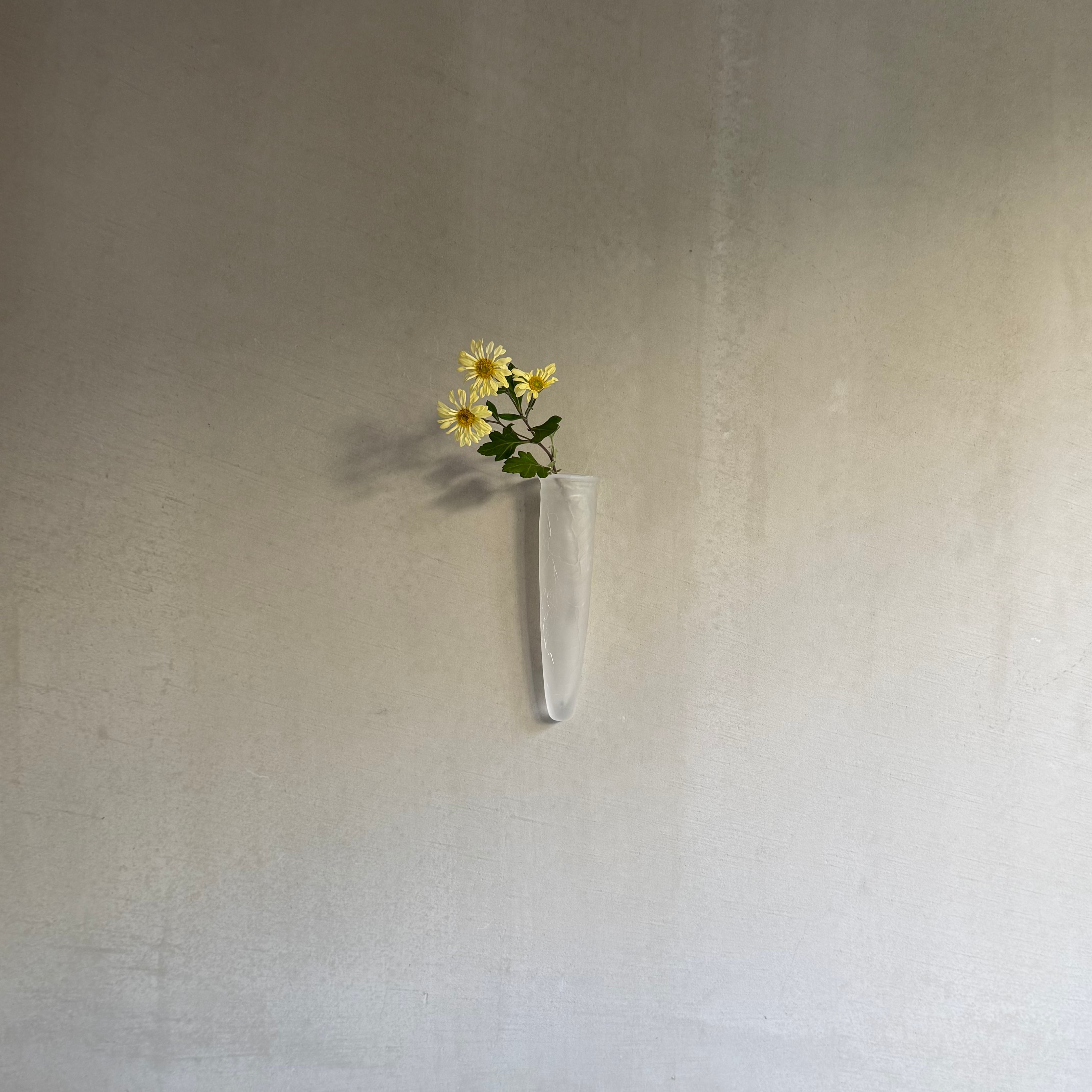 橋村大作 CRACK 掛け花 くもり