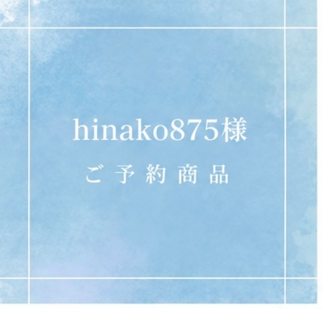 【ライブ購入者様専用】hinako875さま専用 アポフィライトの原石