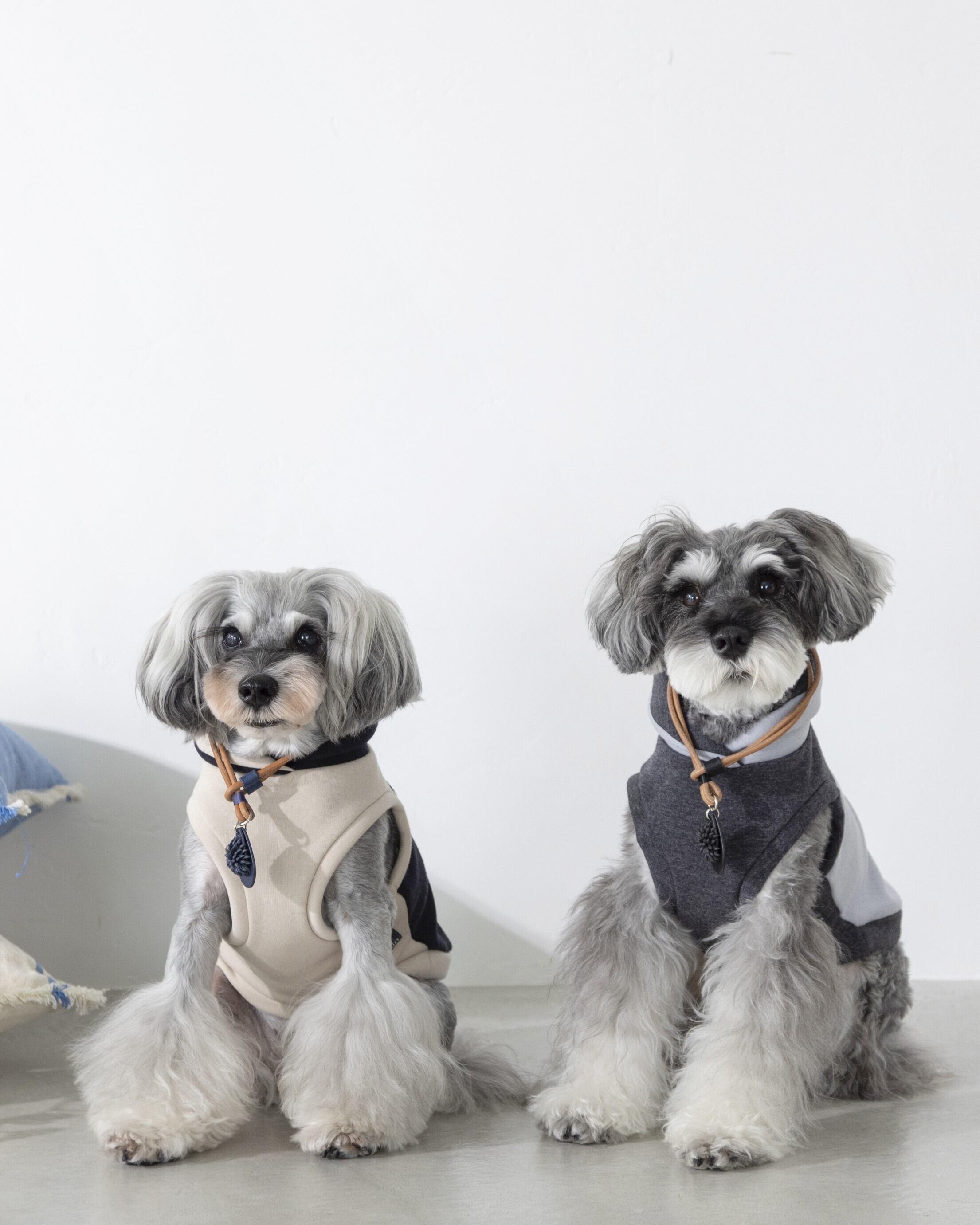 オリジナルタグ forest flower~ ネームタグ＆チョーカー〈BLUE〉 | n9un