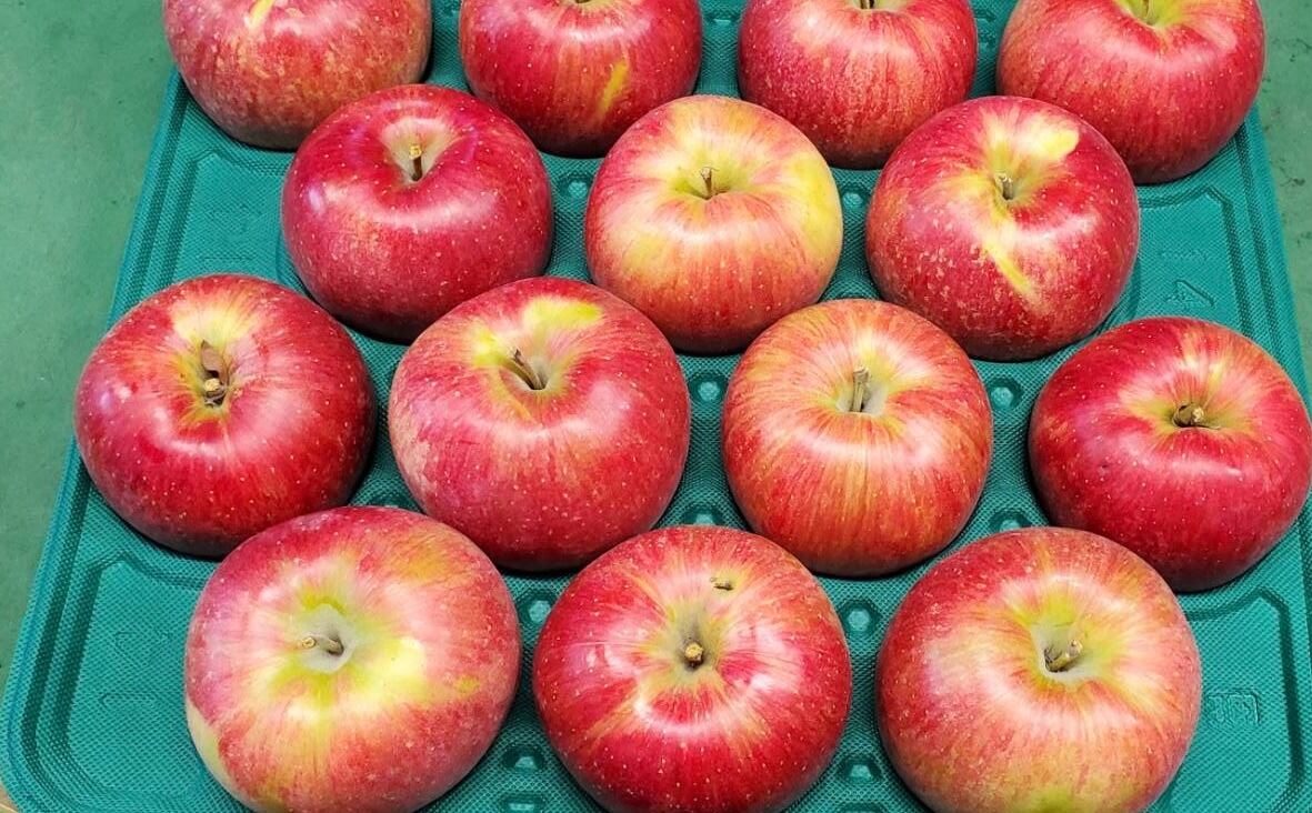 奥州ロマン dbf71d7a6ef0983a126fa335cd015e