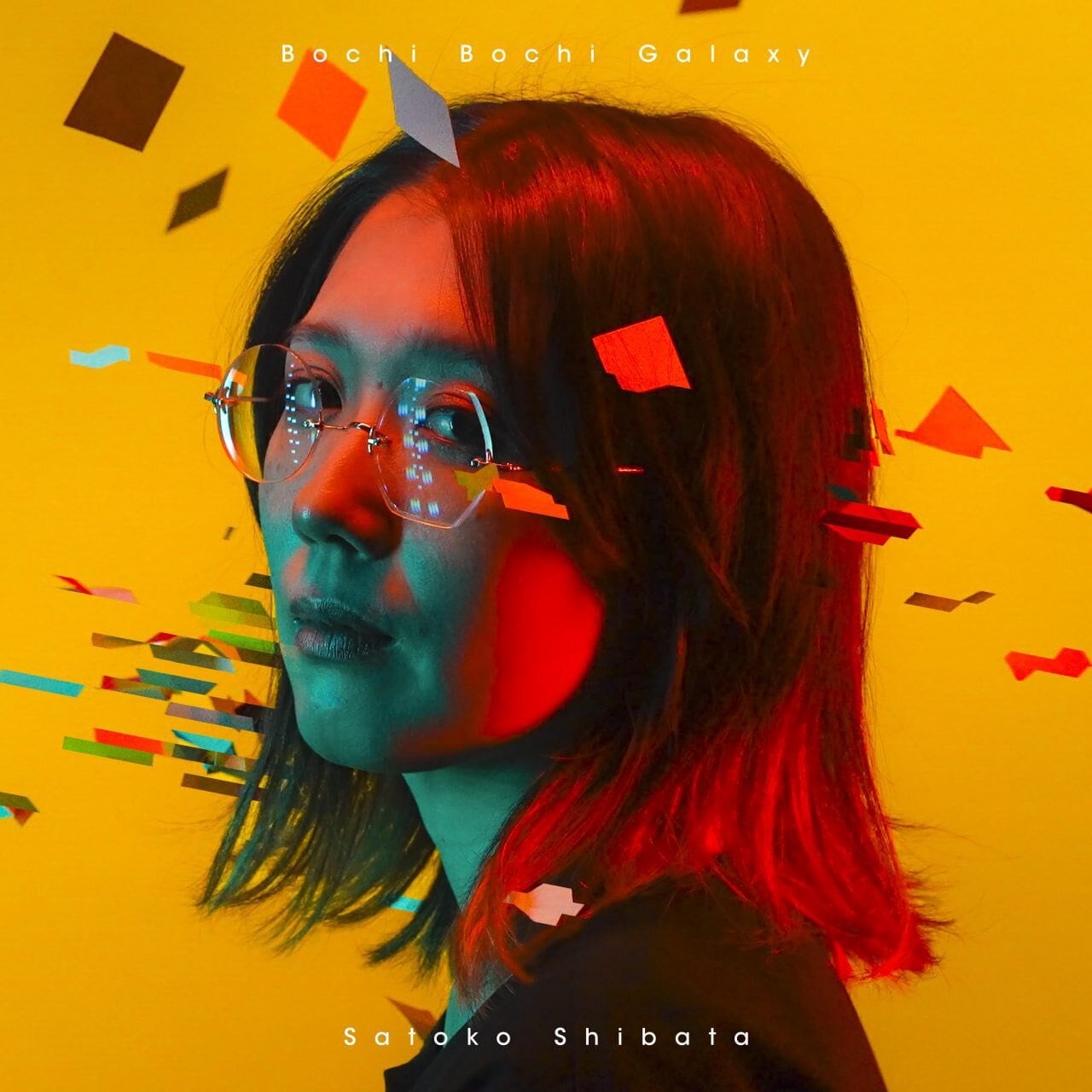 柴田聡子 / ぼちぼち銀河（LP）