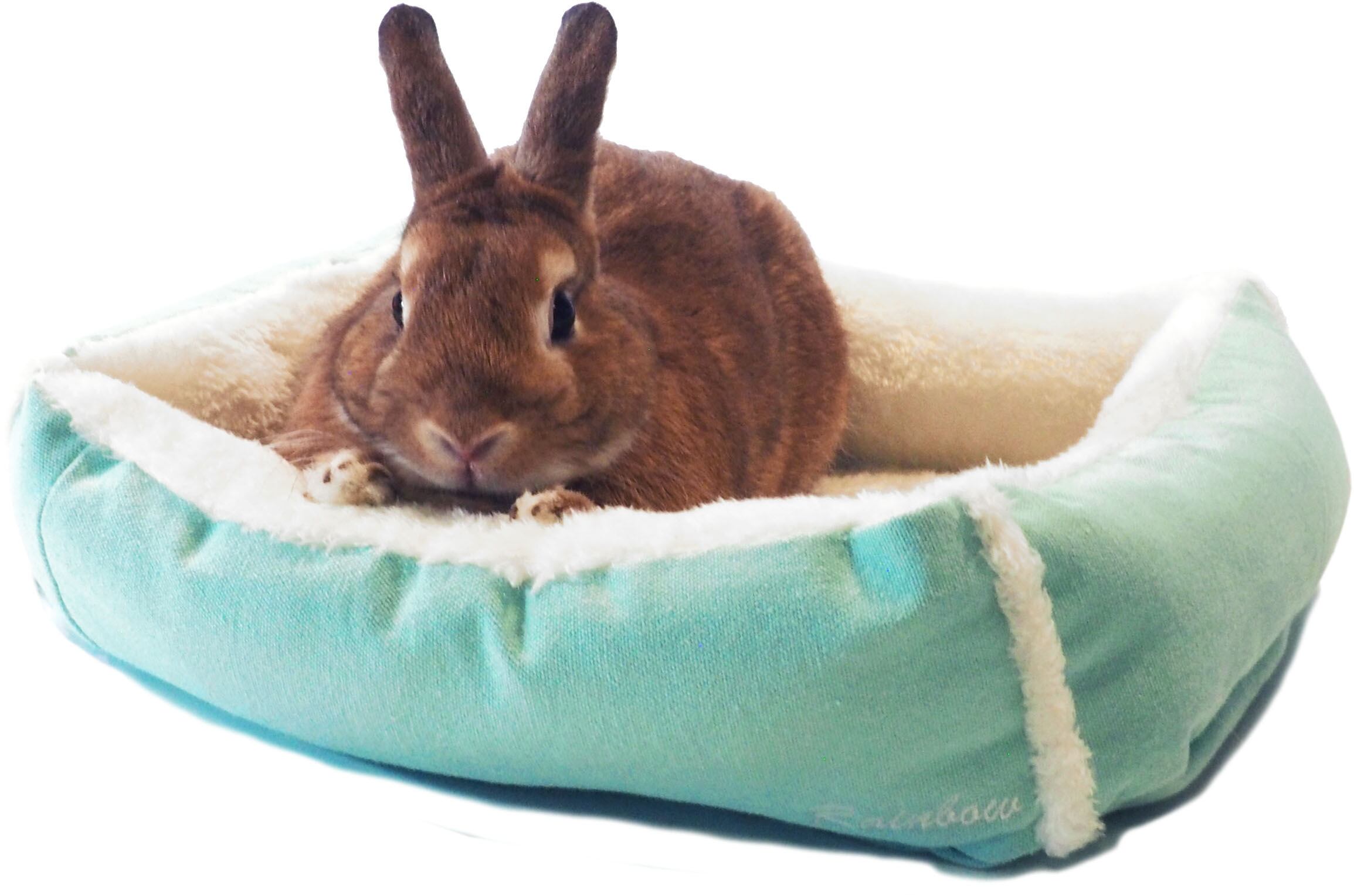 【小動物】 うさちゃんのワイドベッド グリーン/パープル