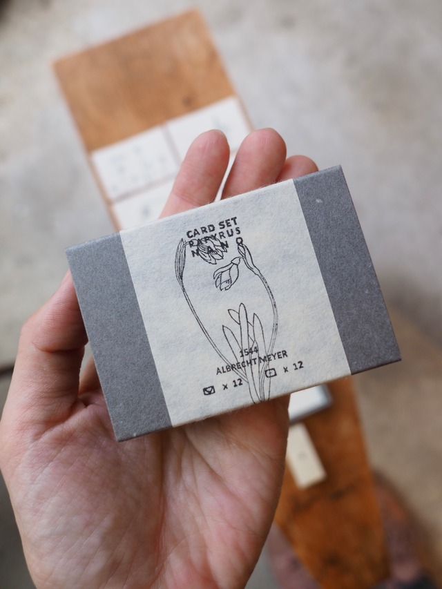 PAPYRUS 小さなカードと封筒のセット 『 ALBRECHT MEYER 』 #1