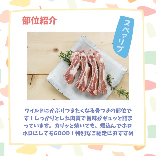 スペアリブ（カット）| 煮込み料理にもおすすめ！もちろん焼いてパーティーにも！