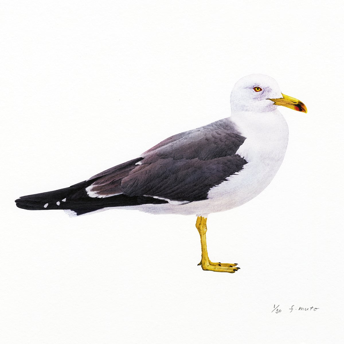 dbfd47815bc1ae372643bb1edd36cd