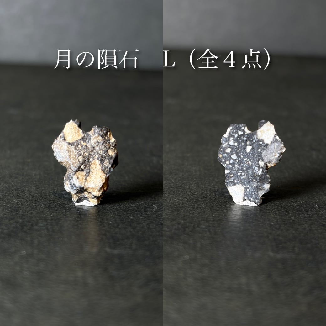 月の隕石☆確定】おまかせ隕石（お一人様1点まで） | 【隕石屋