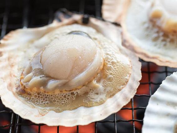 食べ放題級 ホタテ50枚 北海道産片貝ホタテ ５袋セット 送料別途 味力発掘 北海道 Produced By O Brains Inc