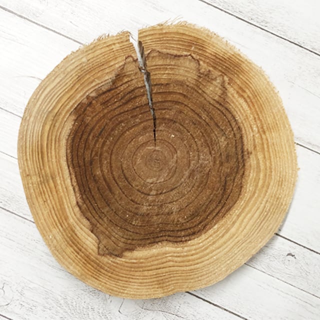 屋久杉デイスプレイスタンド（中） | ぬくもりの.はこ