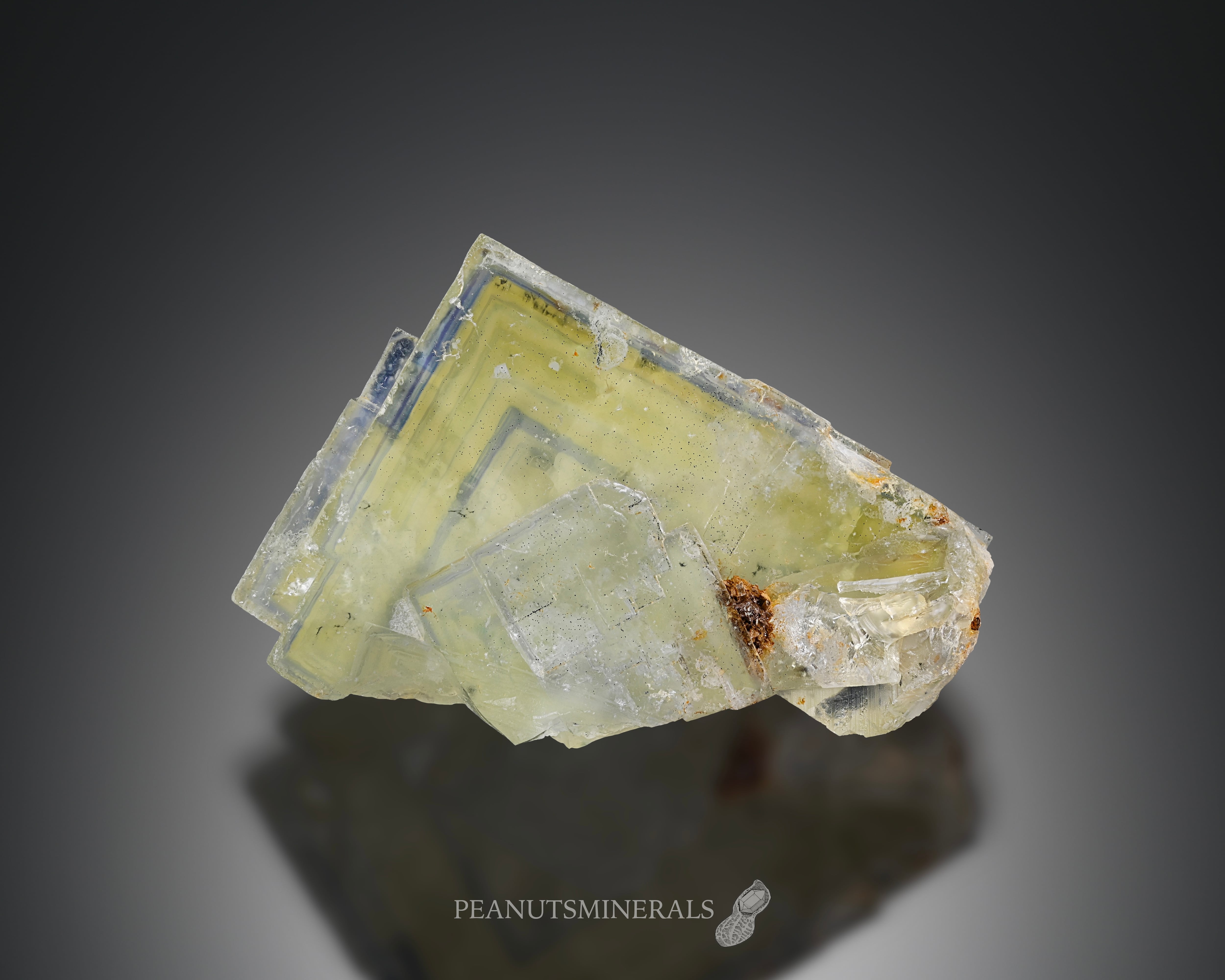 フローライト【Fluorite】イングランド産 | PEANUTS MINERALS