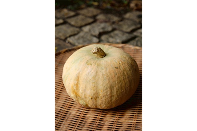 東京かぼちゃ(鳥取県産)・1個
