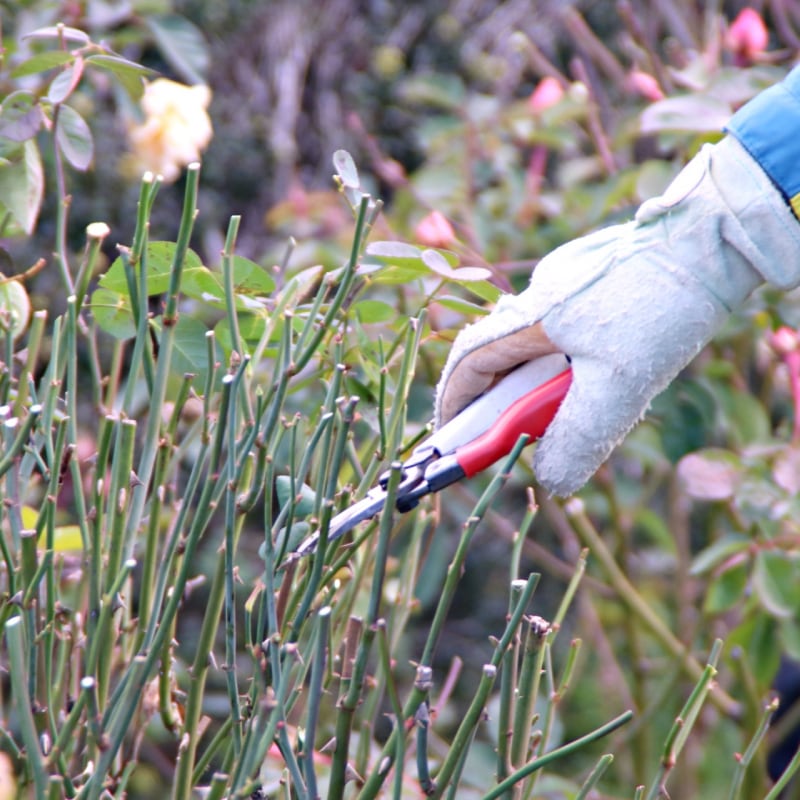 一般個人宅の庭整備工事