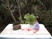 french antique blue dot allumettes  フランス　アンティーク　ブルードット　水玉　マッチケース