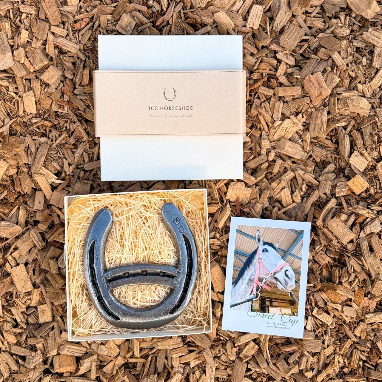 【限定商品】TCC HORSESHOE ストリートキャップ