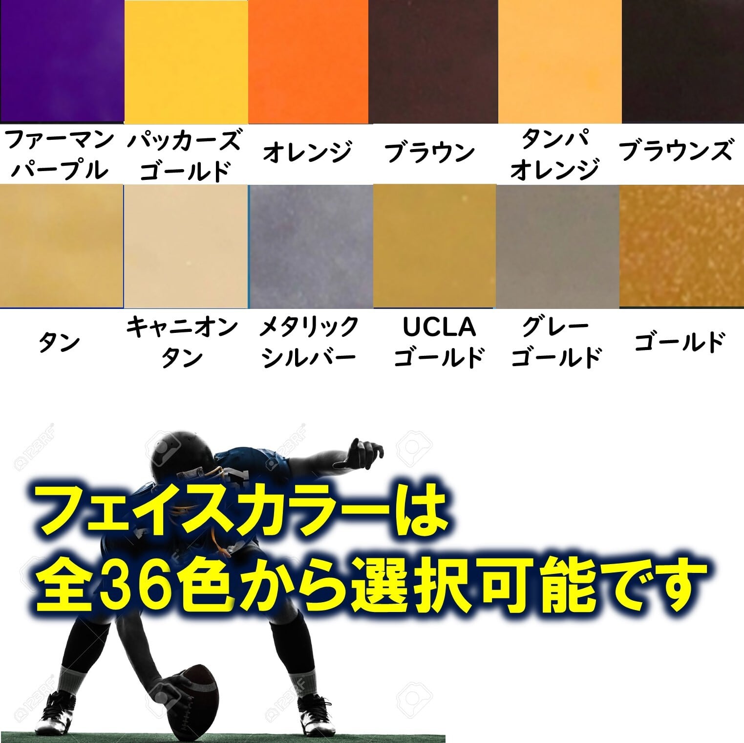 Riddell SPEED FLEX スピードフレックス用 フェイス SF-KICKER-HD