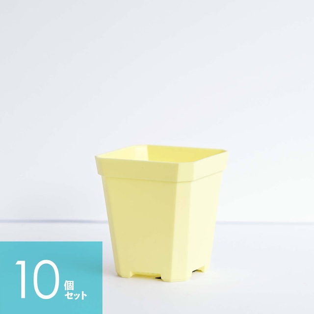 Solid Square Pot  7cm イエロー 10個セット