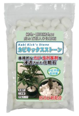 観葉植物用防カビ剤入り化粧石　カビキックス ストーン800ｇ