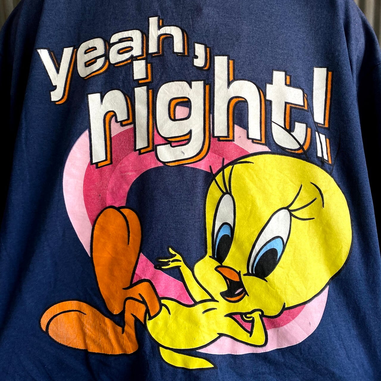 90年代 TWEETY トゥイーティー プリントスウェット レディースXL 古着 LOONEY TUNES ルーニーチューンズ 90S ビンテージ  ヴィンテージ プルオーバー キャラクター トレーナー ネイビー 紺色【スウェット】【SS2201-50】 | cave 古着屋【公式】古着通販サイト