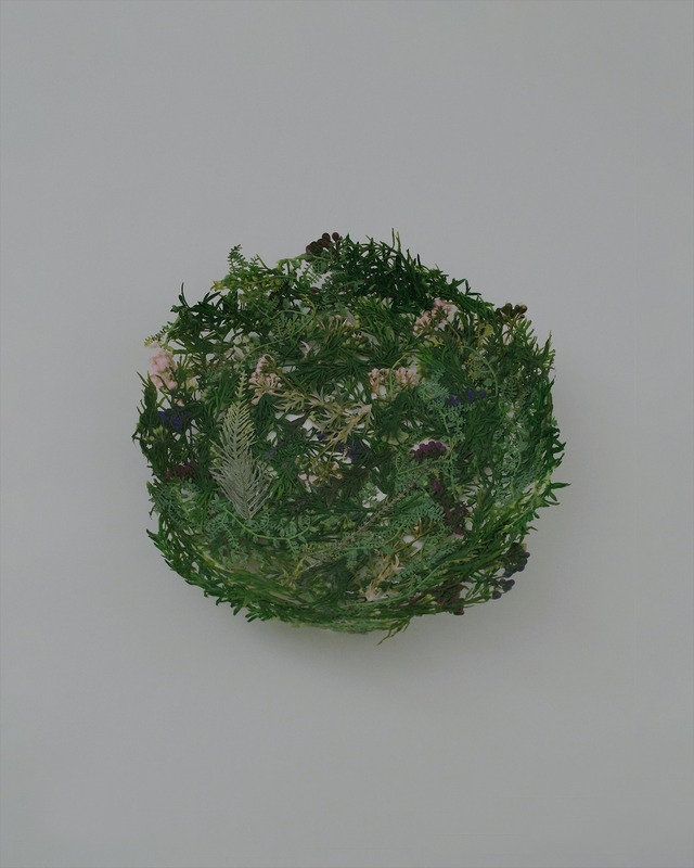 葉花のトレイ｜サークル｜は