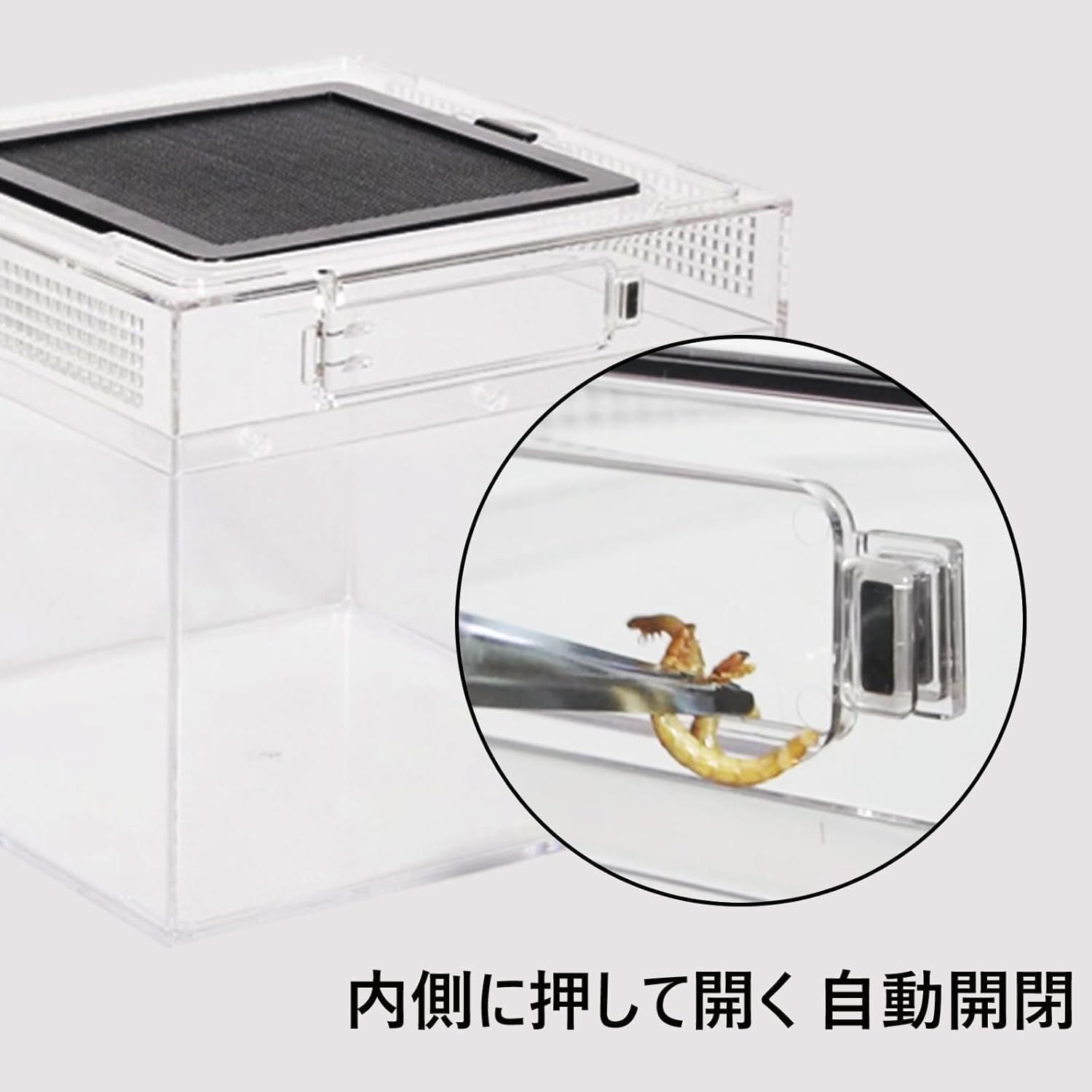 ケージ 爬虫類 飼育ケージ 両生類 繁殖箱 通気性 飼育器 小型地上棲