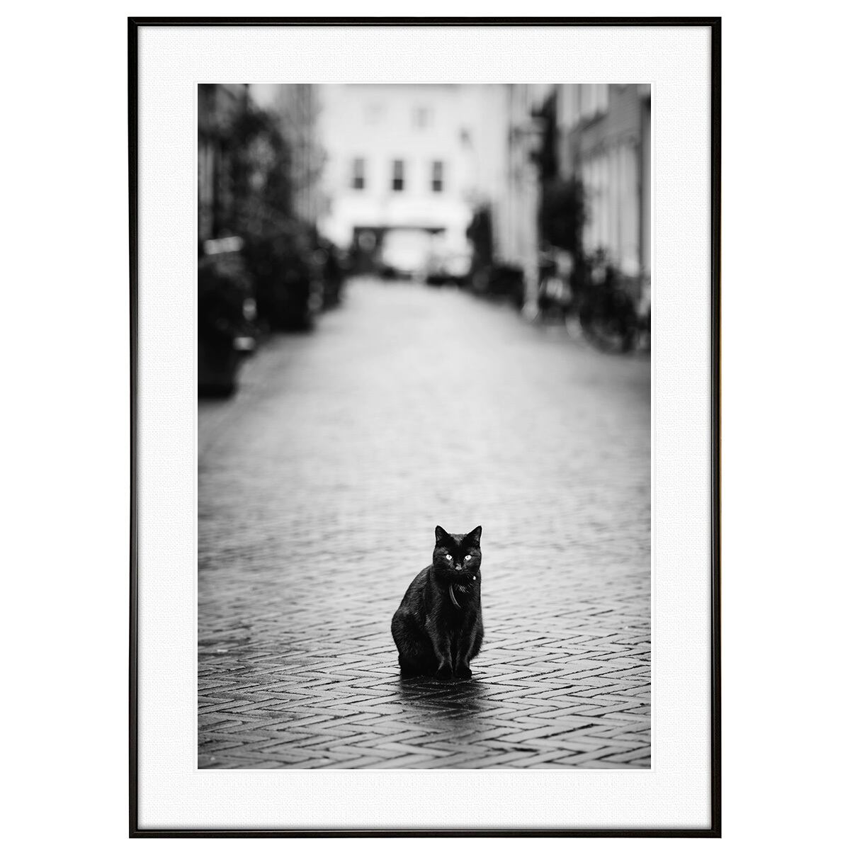 黒猫 | インテリアアート写真・通販のGALLERY PHOTO