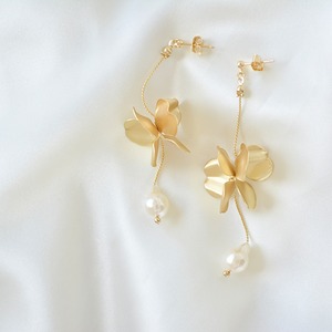 Ailes gold