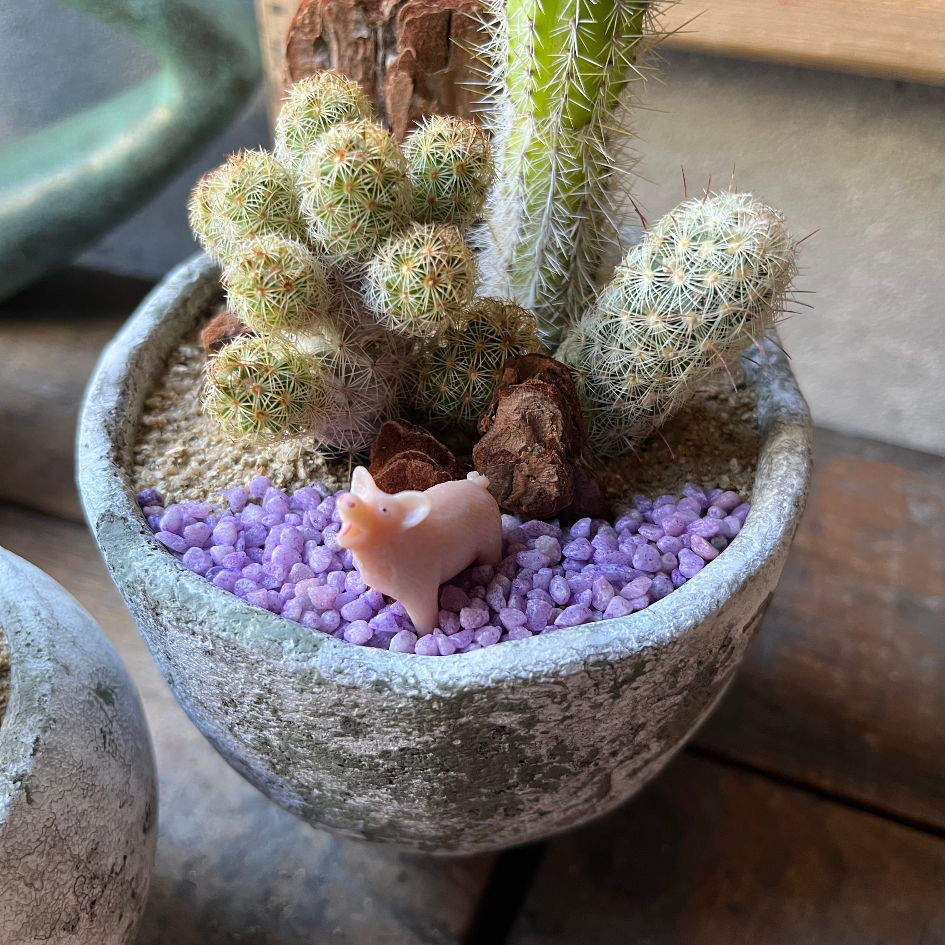 MINI 2鉢SET Pig&Cow | SABOTEN MISSILE