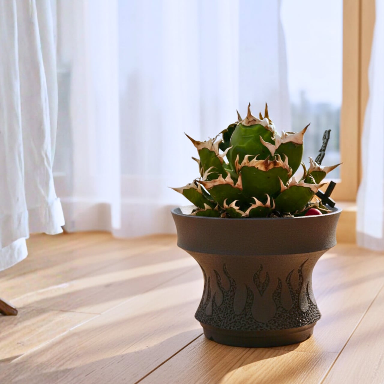 が843 月面 XL HAND Made 植木鉢 陶器検（アガベ パキプス 姫巌竜