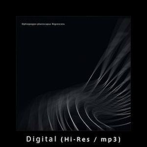 [Single] Ophiopogon planiscapus Nigrescens [Digital]