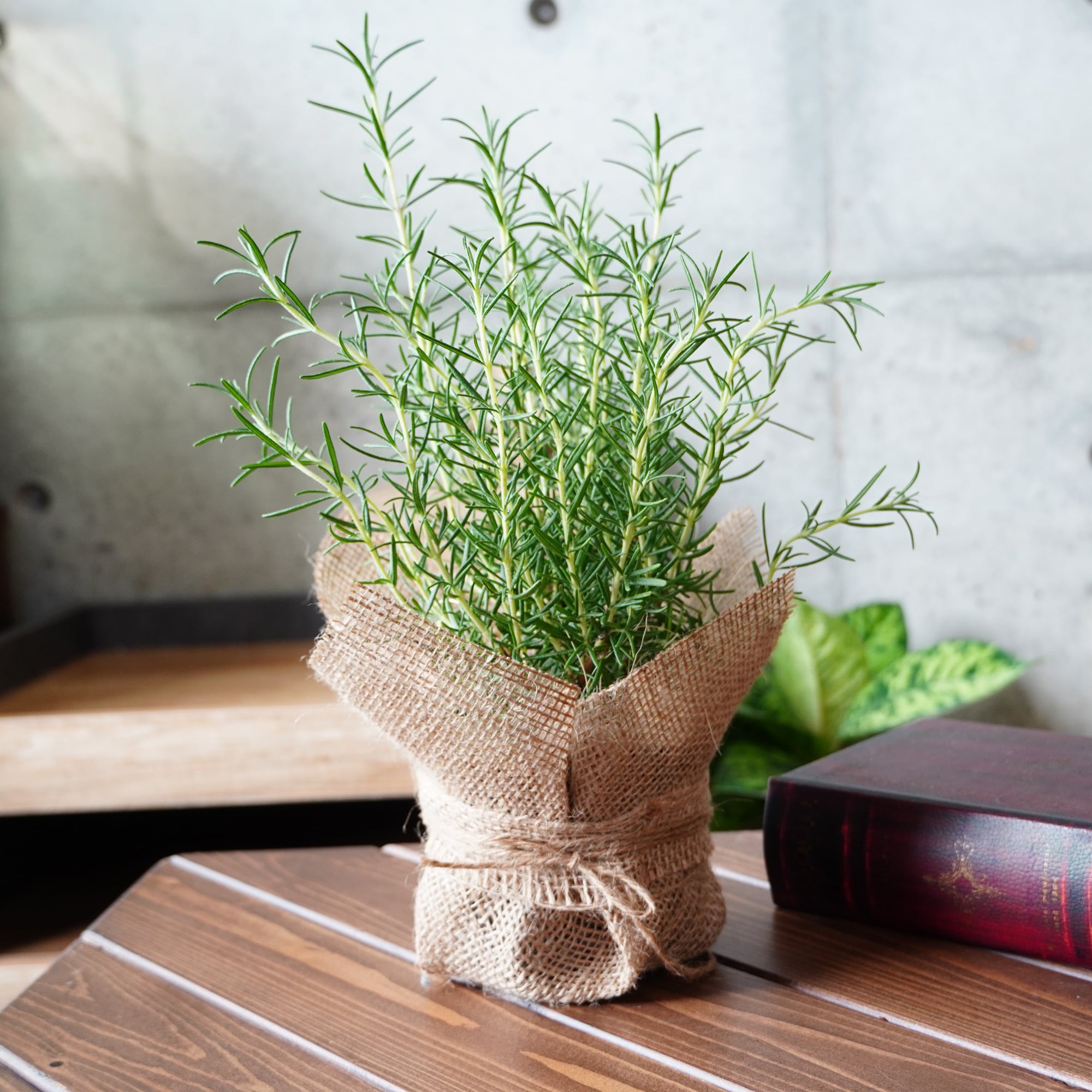 dc238b928b2c29f4846c8d735731c8