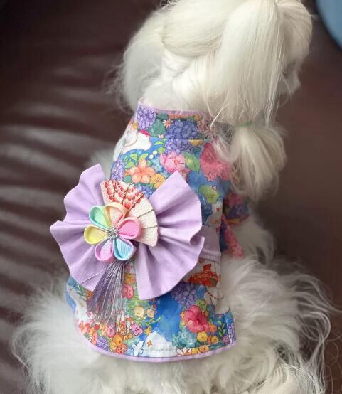 《予約》№1102855 カラフル着物トップス