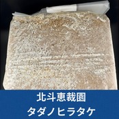 タダノヒラタケ ブロック 3500cc（コマメ・中粒子半々　配合ブロック）