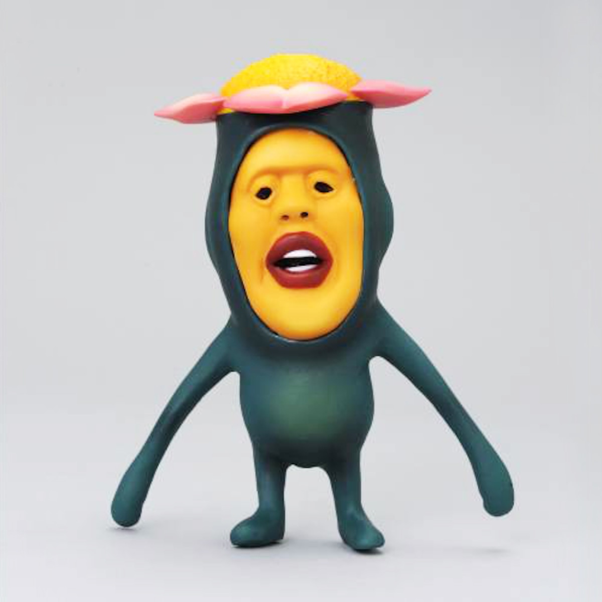リトル ハナ ガシラ