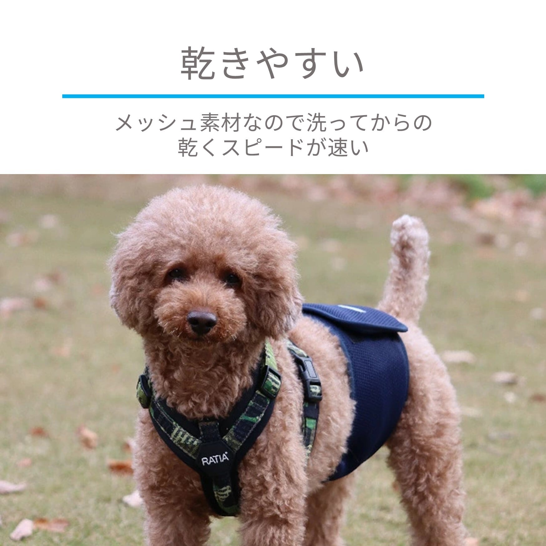 Hakusan]こんなマナーベルトが欲しかった【ファーストマナーベルト
