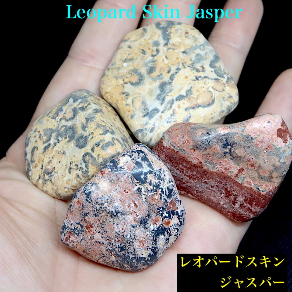 まとめて！レオパードスキン ジャスパー 碧玉 タンブル 研磨 35,3g LPJ020 原石 天然石 鉱物 パワーストーン