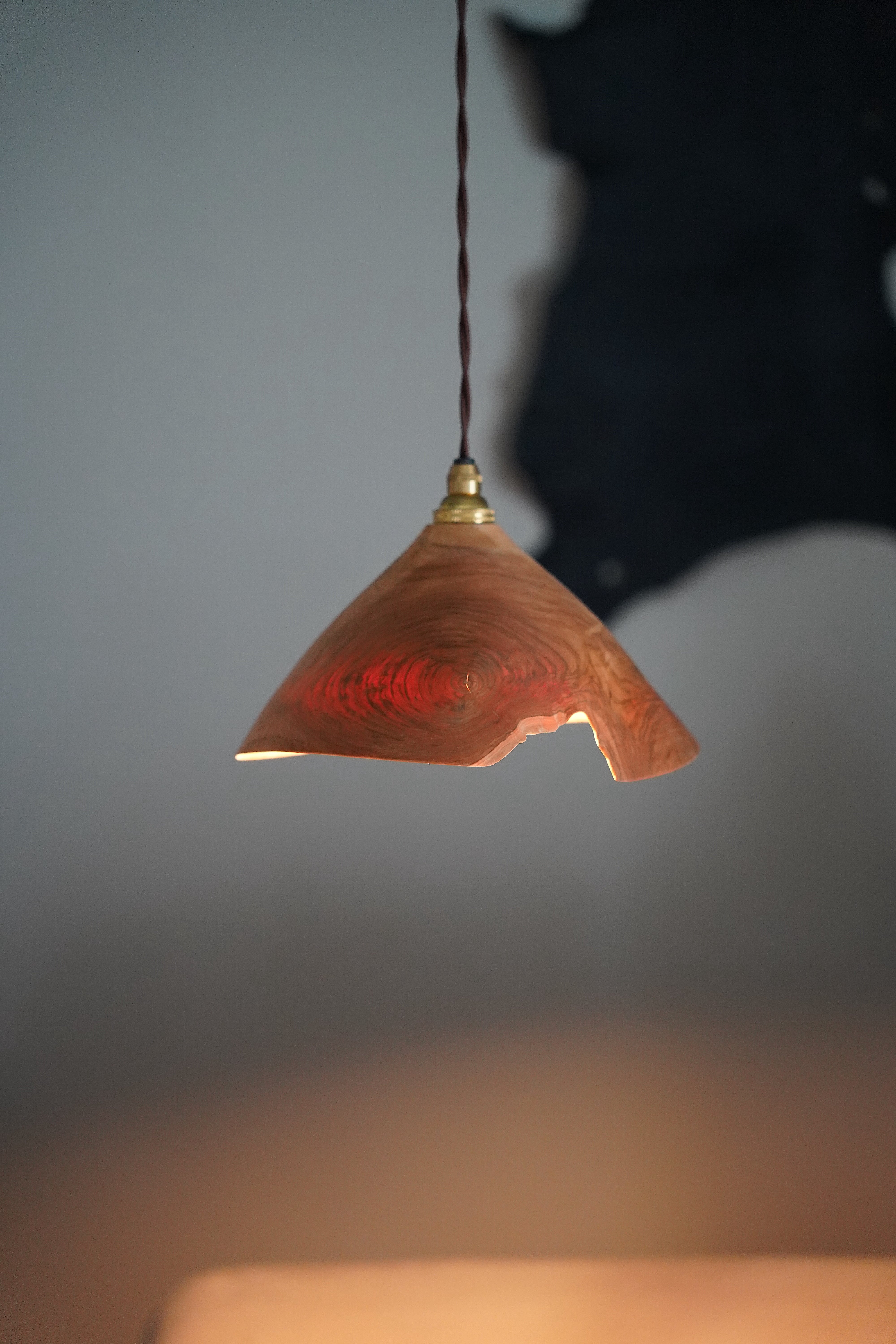 安藤萌 サクラの木 ランプシェード | DE OJAL omomuki