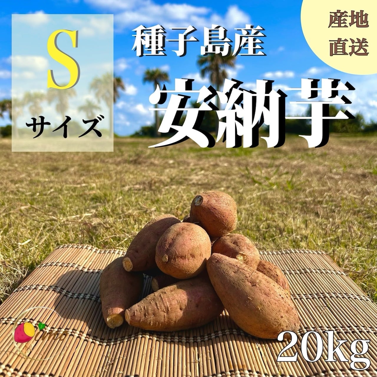 種子島産 安納芋〔生芋〕 | aimo農園