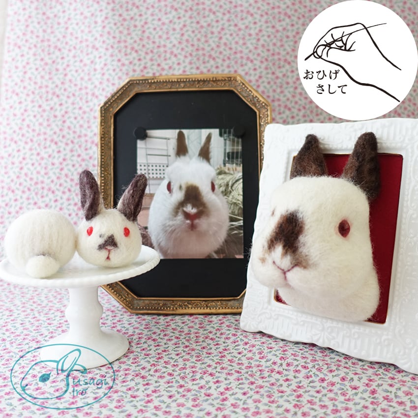 dc2b5696b45cde69da547a7d07f4c1