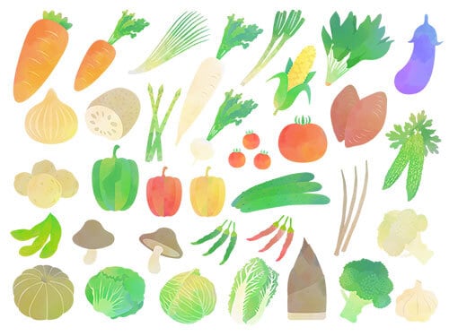 いろいろな種類の、野菜の水彩画のイラストセット | イラストセンター