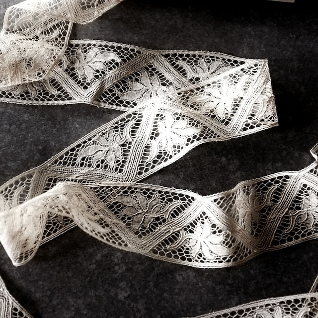 フランス 1900s イチジクの葉とエデン的アンティークレース 100x5.7c