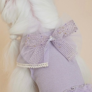 【CCPM】Fairy Cape Crop