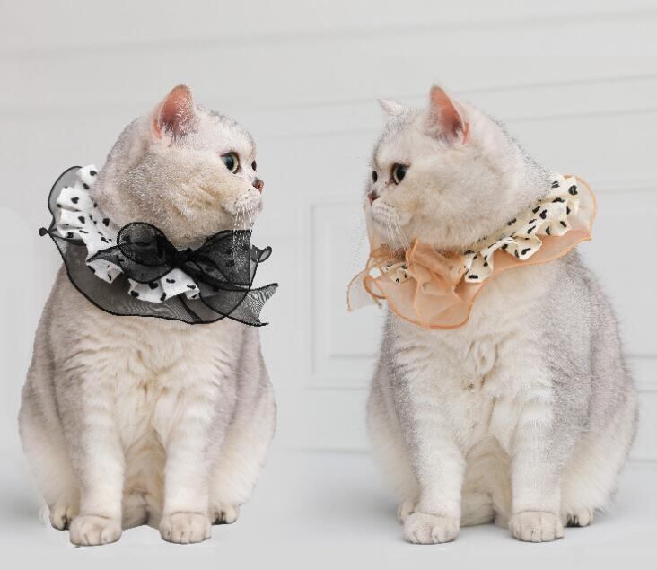 《予約》№2101613 ハートリボンBib