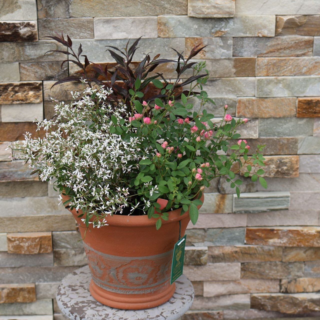 イギリスWitchford Pottery 稀少品 Wall Pot 花鉢 【公式通販】